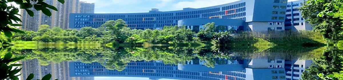 Chongqing College of International Business and Economics campus