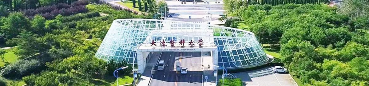 Dalian Medical University campus