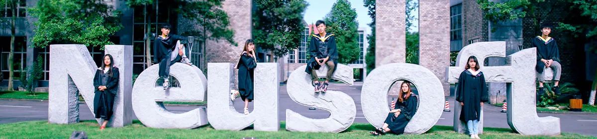 Chengdu Neusoft University campus